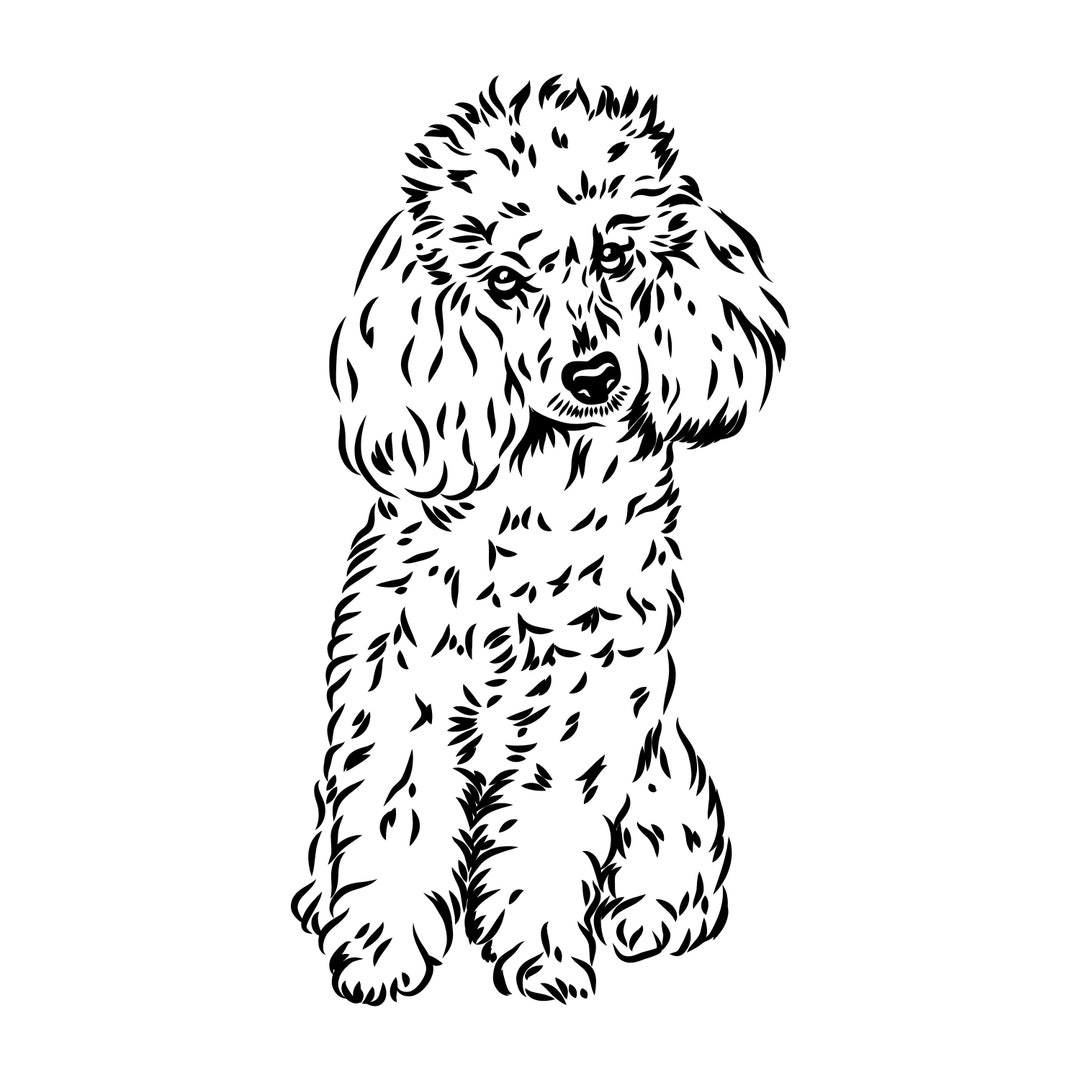 Pudel SVG, Digitale Datei Pudel zum Drucken auf T-Shirts, Datei zum