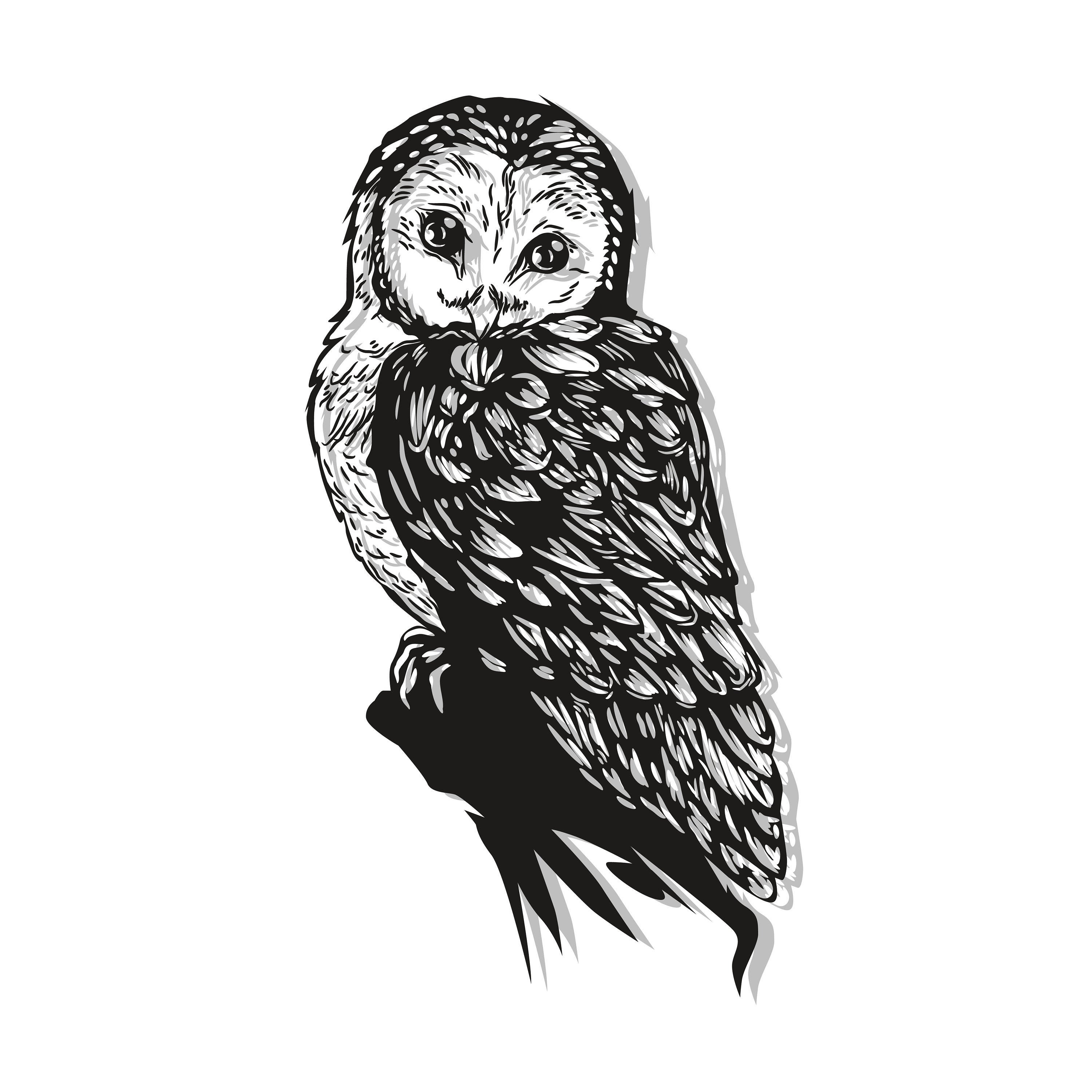 Owl SVG Digital File Owl for Printing on T-shirts File for | Etsy