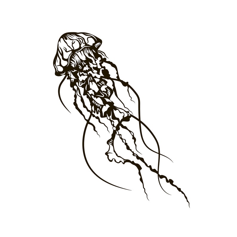 Download Jellyfish Svg Digital File Jellyfish For Printing On Etsy