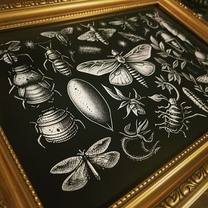 Stampa stile tatuaggio flash insetti, Dark Cottage Core, Stravagante, Natura, Illustrazione, Piante, Fauna selvatica, Insetti