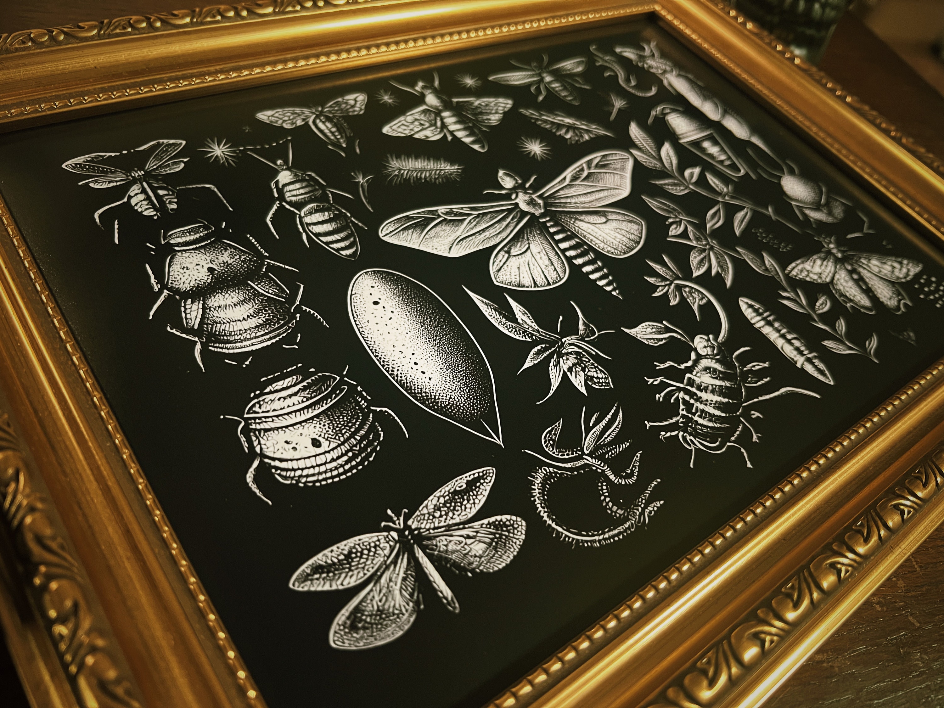 Insects tattoo flash style Print , Dark Cottage Core, Whimsical, Nature, Illustration, Plants, Wildlife, Bugs