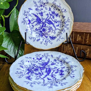Coalport Cairo Blue Saucers Plates