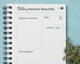 Journal de grossesse à imprimer  - format PDF - Organisation grossesse  par Le Temps des Paillettes