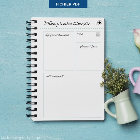 Journal de grossesse PDF Pregnancy planner - Suivi grossesse