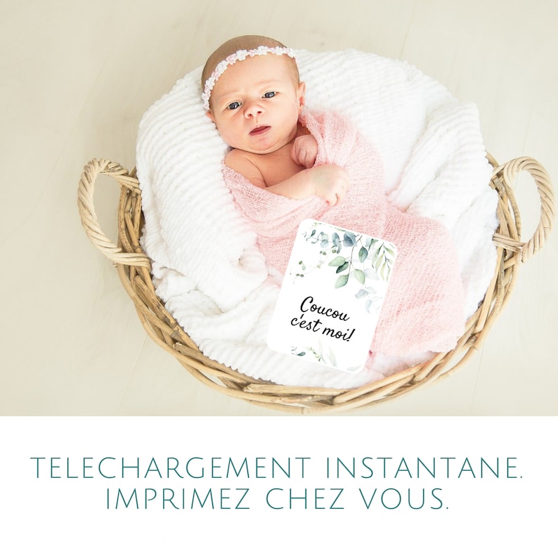 Carte Etape Bebe A Imprimer Motif Feuille Eucalyptus Etsy Carte Etape Bebe A Imprimer Motif Feuille Eucalyptus Etsy
