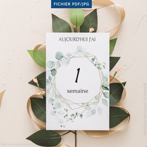 Carte Etape Bebe A Imprimer Motif Feuille Eucalyptus Etsy Carte Etape Bebe A Imprimer Motif Feuille Eucalyptus Etsy