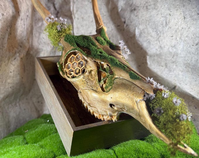 Magical spring deer skull