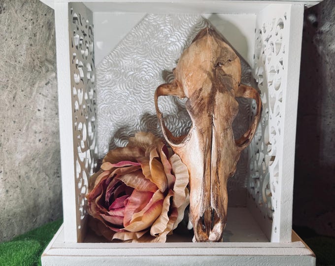 Flowery fox skull