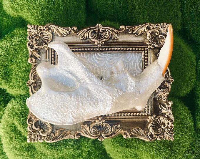 Beaver jaw mount (gold and white)