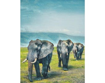 Elephant Herd Canvas Stretched Canvas | Matte Wall Art 1.25"