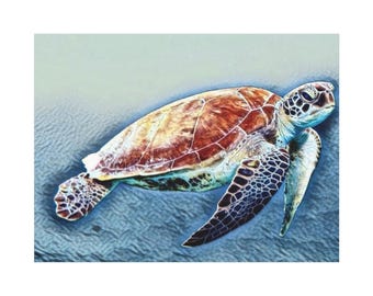 Sea Turtle Artwork Canvas | Stretched Canvas Wall Art