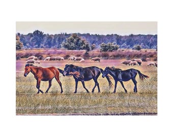 Horses in Pasture Canvas | Matte Stretched Wall Art