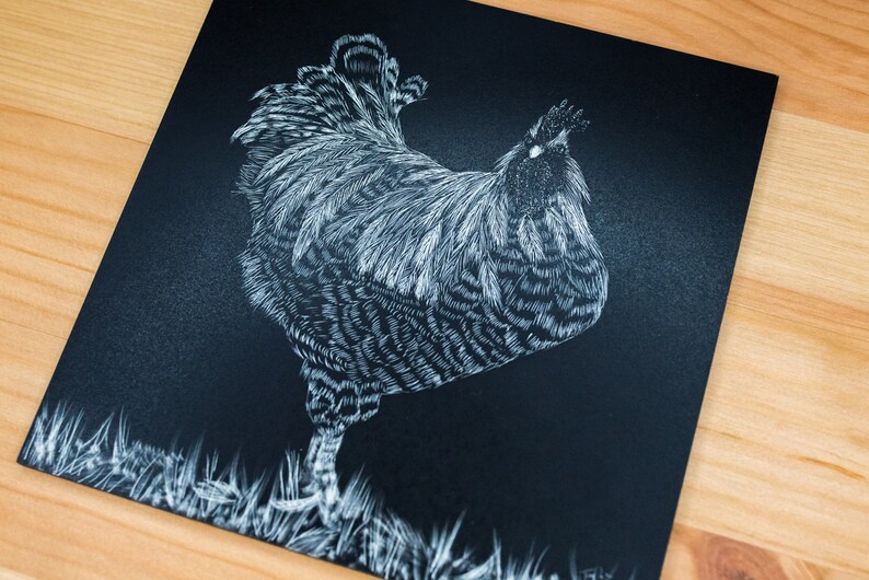 Farmhousestyle Home Wall Decor Original Scratchboard Chicken Art Etsy