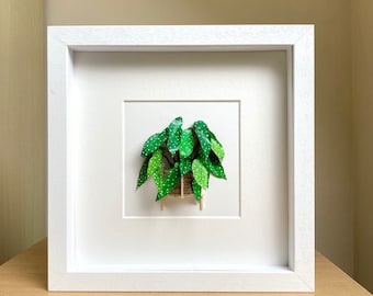 Begonia Maculata, Paper Cut Diorama Artwork, Plant Lovers Gift Rare Houseplants, Paper Plant Christmas Gift For Plant Lady, Mom, Friends