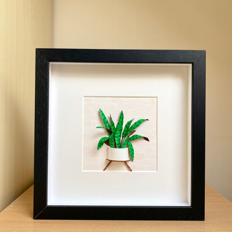 Calathea Lancifolia Framed Wall Art Plant Lovers Gift, Plant Mom Gift From Daughter, Paper Plant Diorama, Crazy plant lady Birthday Gift Black Frame