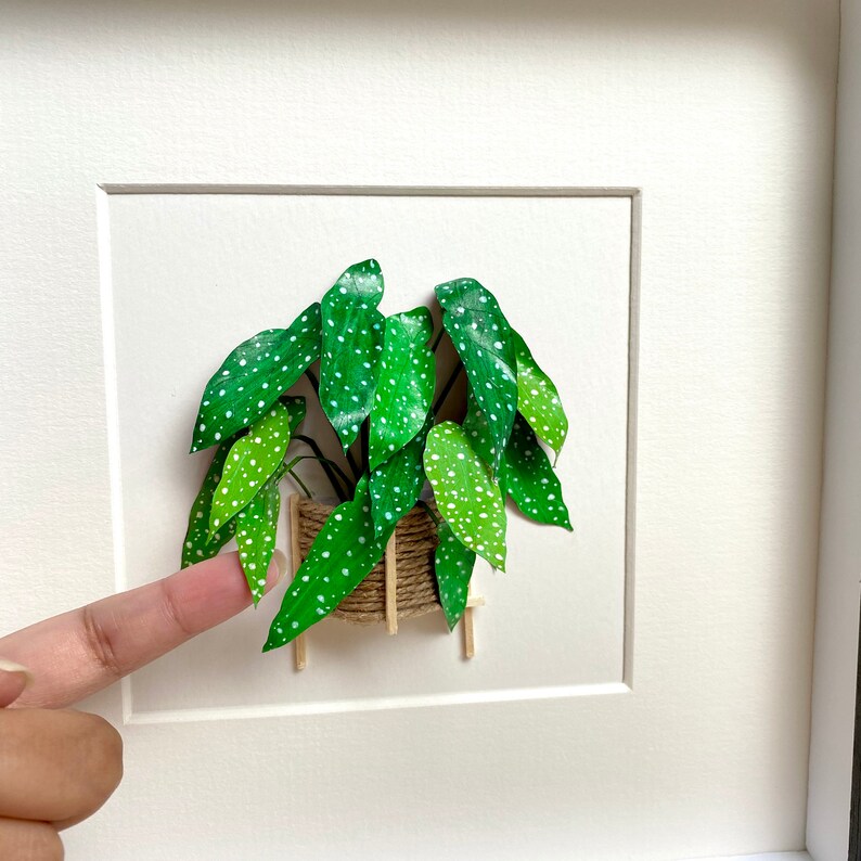 Begonia Maculata, Paper Cut Diorama Artwork, Plant Lovers Gift Rare Houseplants, Paper Plant Christmas Gift For Plant Lady, Mom, Friends image 5