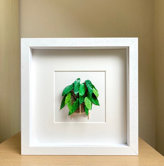 Begonia Maculata, Paper Cut Diorama Artwork, Plant Lovers Gift Rare Houseplants, Paper Plant Christmas Gift For Plant Lady, Mom, Friends