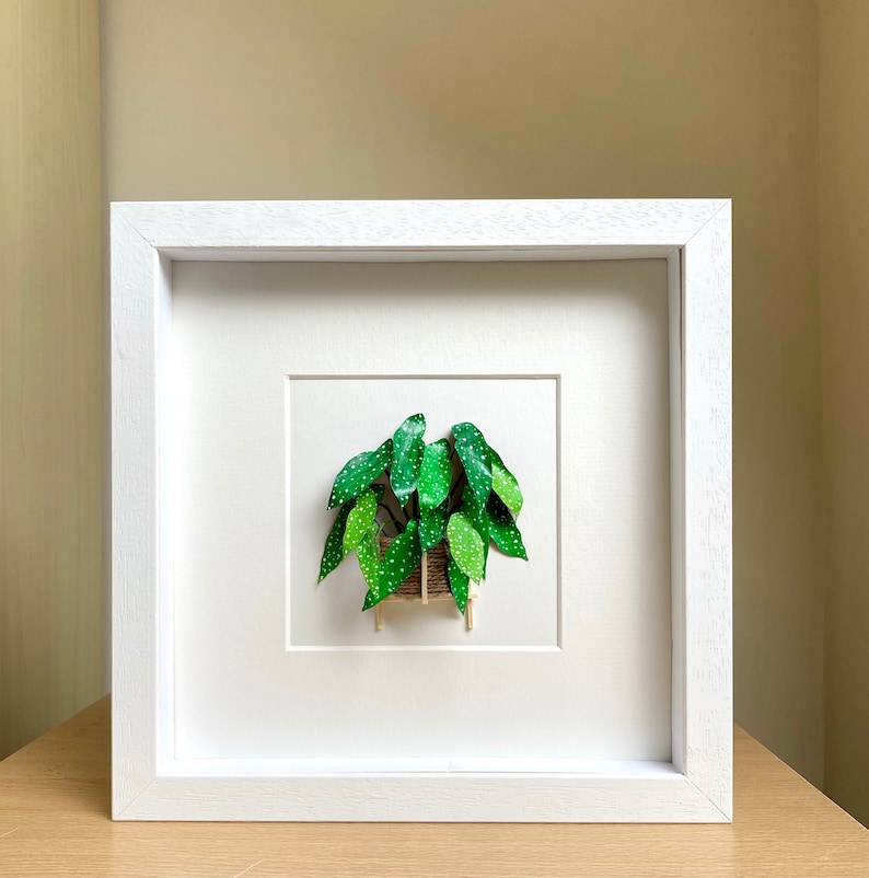 Begonia Maculata, Paper Cut Diorama Artwork, Plant Lovers Gift Rare Houseplants, Paper Plant Christmas Gift For Plant Lady, Mom, Friends White Frame