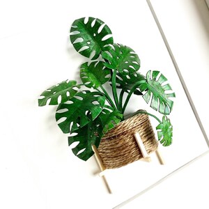 May include: A green monstera plant in a brown rope-wrapped pot with wooden legs, mounted on a white wall.