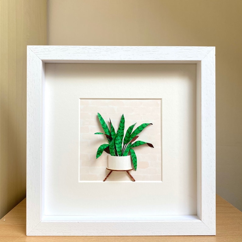 Calathea Lancifolia Framed Wall Art Plant Lovers Gift, Plant Mom Gift From Daughter, Paper Plant Diorama, Crazy plant lady Birthday Gift White Frame