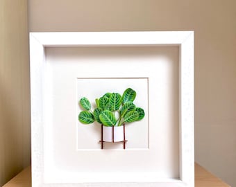 Maranta Lemon Lime Framed Wall Art Plant Lovers Gift, Prayer Plant Paper Art, Plant Mom Gift From Daughter, Personalised Diorama Artwork