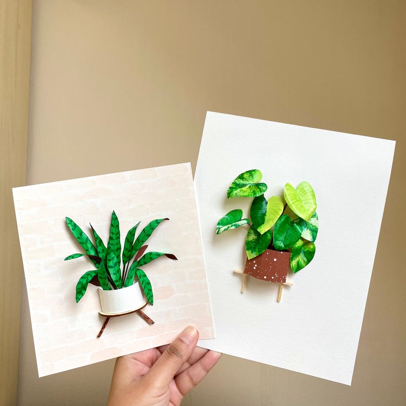 Calathea Lancifolia Framed Wall Art Plant Lovers Gift, Plant Mom Gift From Daughter, Paper Plant Diorama, Crazy plant lady Birthday Gift image 10