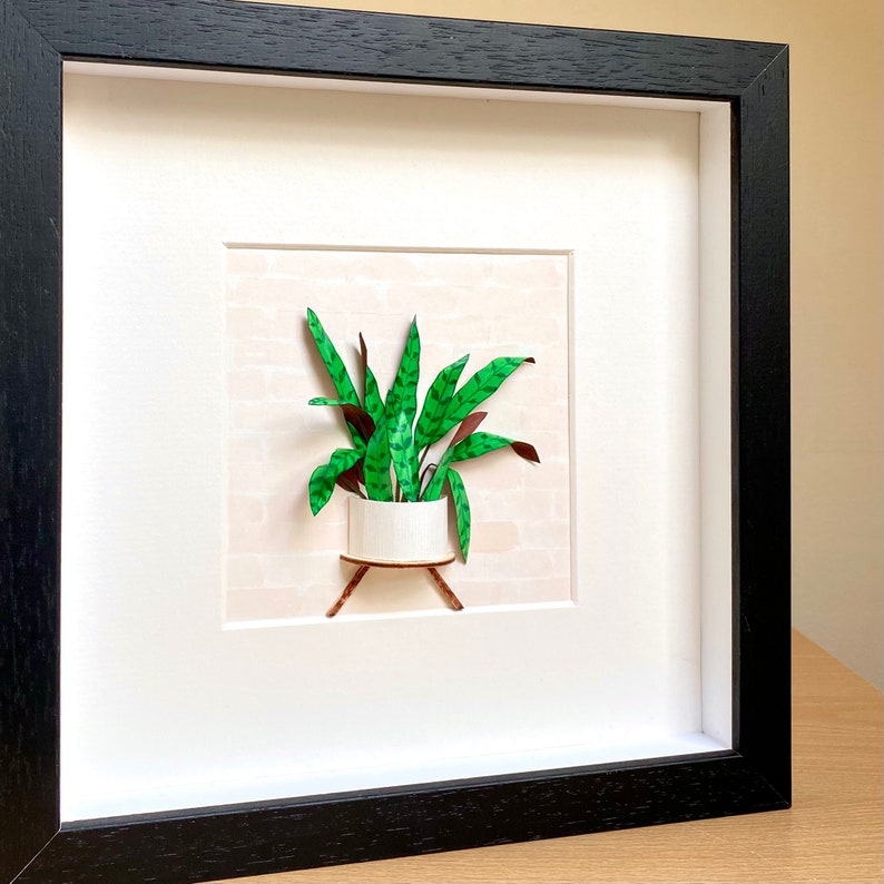 Calathea Lancifolia Framed Wall Art Plant Lovers Gift, Plant Mom Gift From Daughter, Paper Plant Diorama, Crazy plant lady Birthday Gift image 7