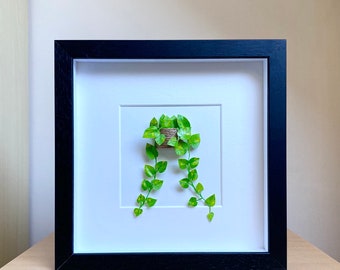 Plant Framed Wall Art, Boho Home Decor, Botanical Artwork, Unique Wall Hanging Decor For Plant Mom / Dad, Birthday Gifts For Plant Lovers