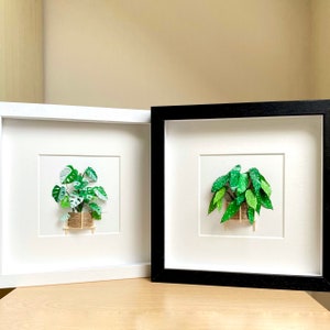 May include: Two framed paper art pieces featuring green plants in pots. The frames are white and black. The plants are in a 3D style.