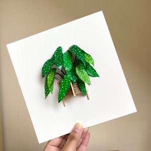 Begonia Maculata, Paper Cut Diorama Artwork, Plant Lovers Gift Rare Houseplants, Paper Plant Christmas Gift For Plant Lady, Mom, Friends Without Frame