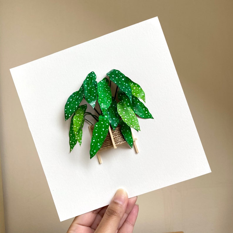 Begonia Maculata, Paper Cut Diorama Artwork, Plant Lovers Gift Rare Houseplants, Paper Plant Christmas Gift For Plant Lady, Mom, Friends Without Frame