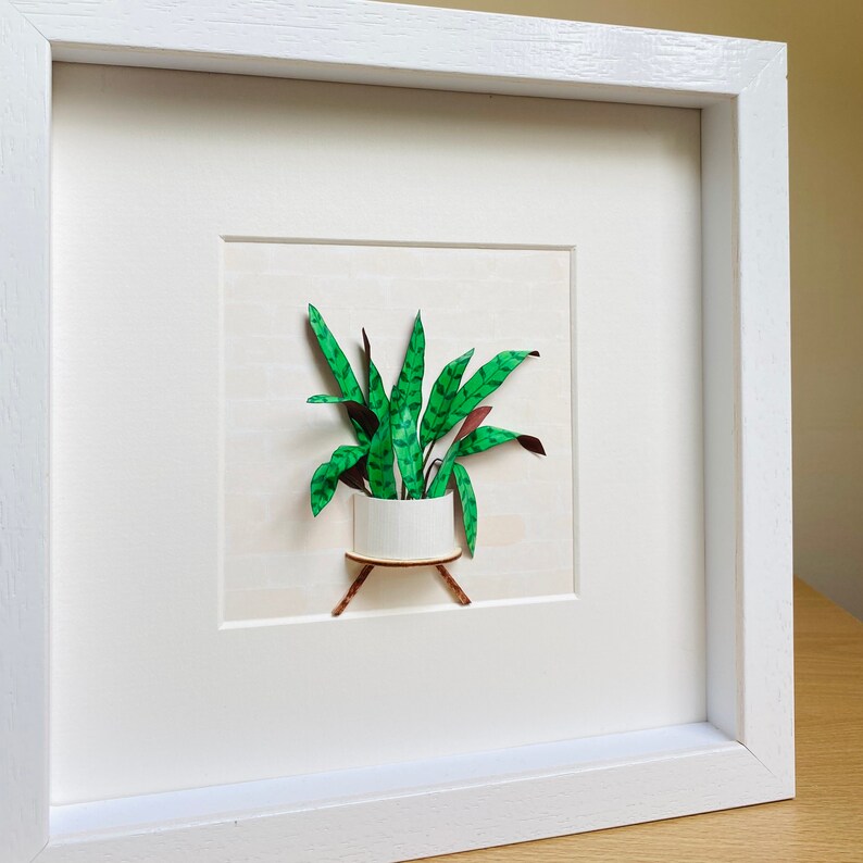 Calathea Lancifolia Framed Wall Art Plant Lovers Gift, Plant Mom Gift From Daughter, Paper Plant Diorama, Crazy plant lady Birthday Gift image 5
