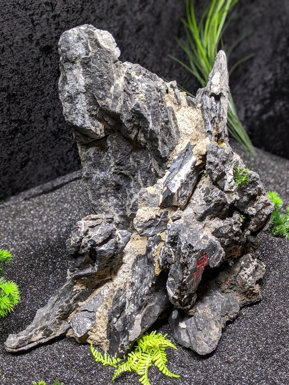 Seiryu Stone Aquarium Decoration Aquascaping Rock (Small, 5 lbs) 