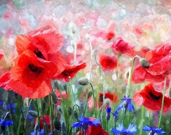 Red Poppies and Blue Cornflowers - USA Shipping - DIY Paint by Number Kit Acrylic Painting Home Decor