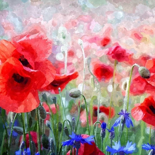 Coquelicots rouges et bleuets bleus - Expédition aux États-Unis - Peinture pour bricolage par numéro Kit Peinture acrylique Décor à la maison