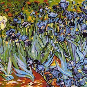 Irises - Van Gogh - USA Shipping - DIY Paint by Number Kit Acrylic Painting Home Decor