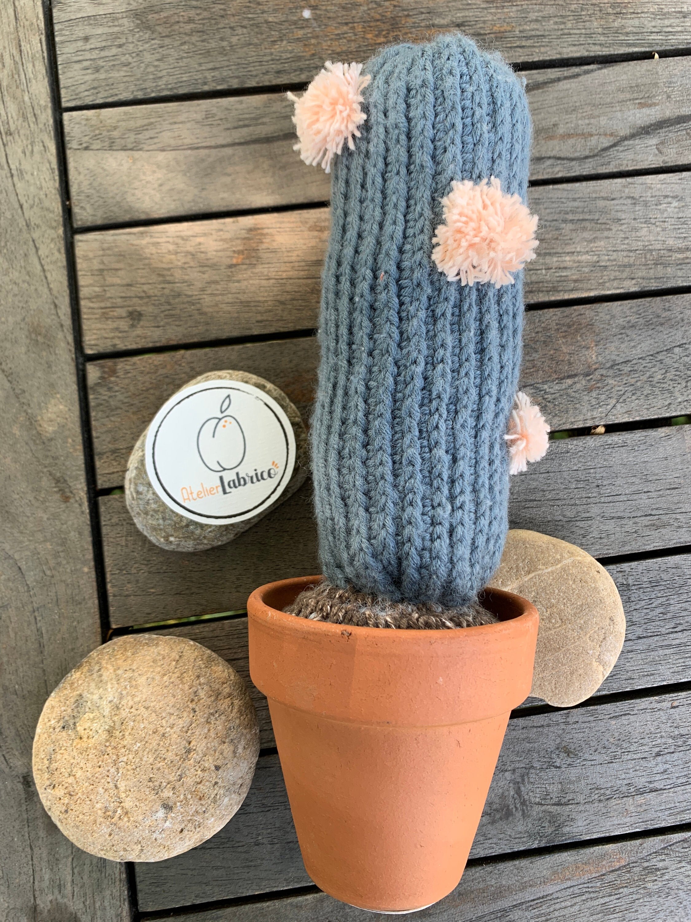 Cactus Crochet