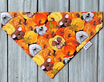 Halloween pumpa valpar hundbandana över kragen, anpassad hundbandana, färgglad pumpa hundhalsduk, hösthundbandana, Halloween husdjurshalsduk