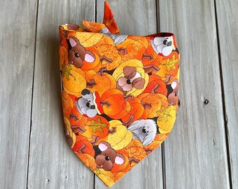 Knyt/tryck fast Halloween-pumpavalpar-hundbandana, pumpafältshundbandana, Halloween-hundhalsduk, pumpahundbandana, hösthundbandana