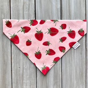 Over the Collar Strawberry Shortcake Dog Bandana, Spring Dog Bandana, Summer Dog Bandana, Dog Neckerchief, Strawberry Dog Bandana