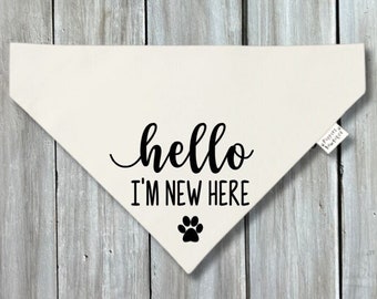 Hello I'm New Here Dog Bandana, Over the Collar or Snap On New Puppy Scarf, New Puppy Dog Neckerchief, New to the Crew Dog Bandana