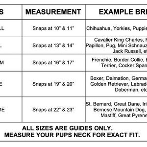 K&ouml;nnte beinhalten: Eine Tabelle mit Hundehalsbandgr&ouml;&szlig;en und den entsprechenden Halsma&szlig;en in Zoll sowie Beispielhunderassen f&uuml;r jede Gr&ouml;&szlig;e. Die Gr&ouml;&szlig;en sind XXS, XS, S, M und L. Die Tabelle enth&auml;lt auch den Text "ALL SIZES ARE GUIDES ONLY. MEASURE YOUR PUPS NECK FOR EXACT FIT."