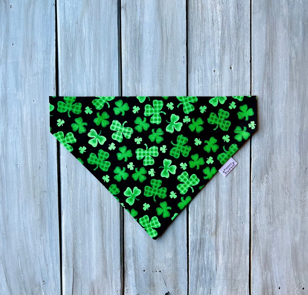 st paddys day dog collar