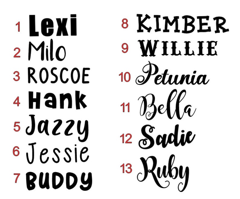 May include: A list of names written in black ink on a white background. The names are numbered 1 through 13. The names are: Lexi, Milo, Roscoe, Hank, Jazzy, Jessie, Buddy, Kimber, Willie, Petunia, Bella, Sadie, and Ruby.