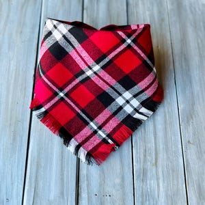 May include: Red, black, and white plaid dog bandana with frayed edges.