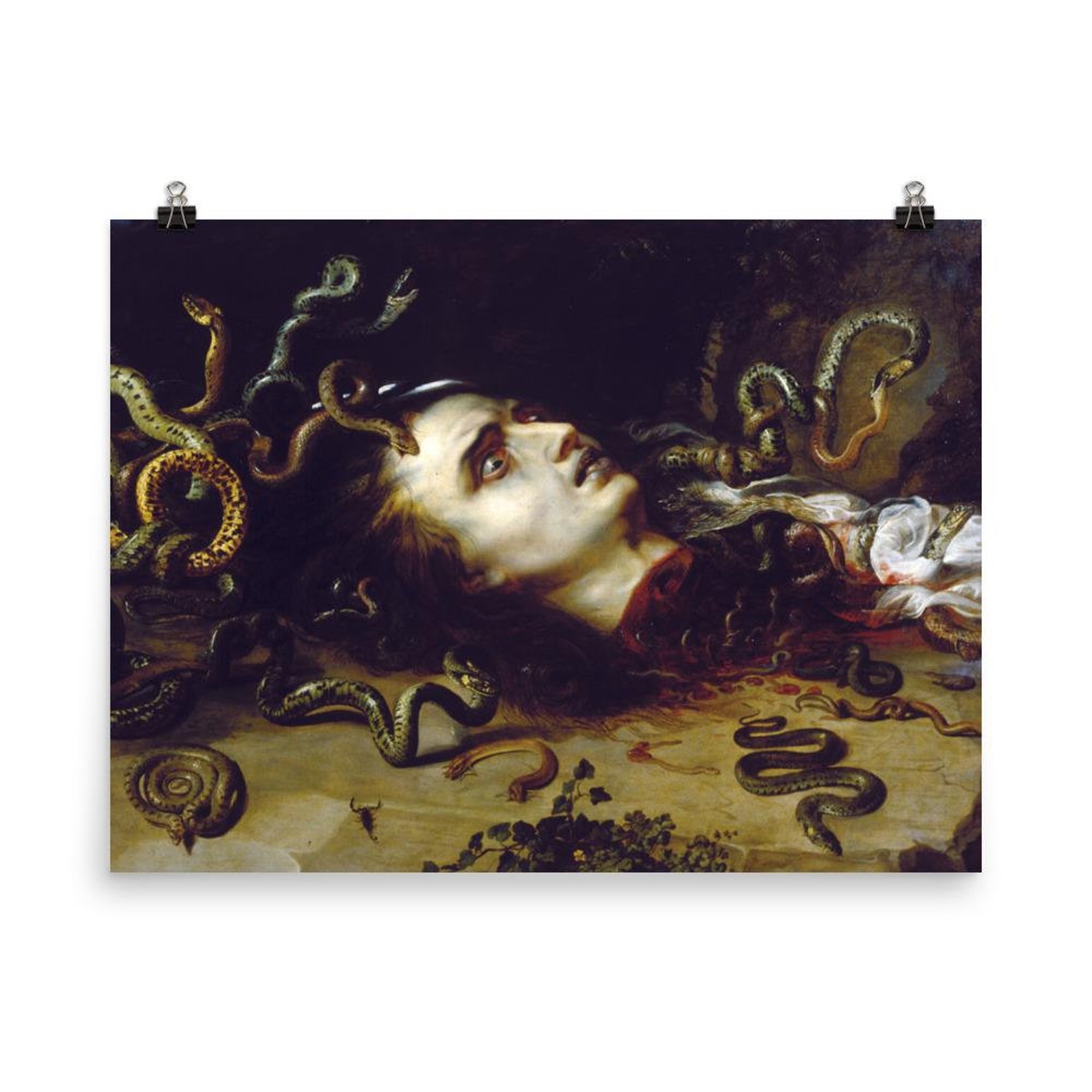 Peter Paul Rubens the Head of Medusa Baroque Painting Wall Etsy