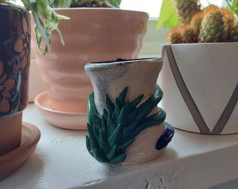 Seductively Friendly Succulent Vase