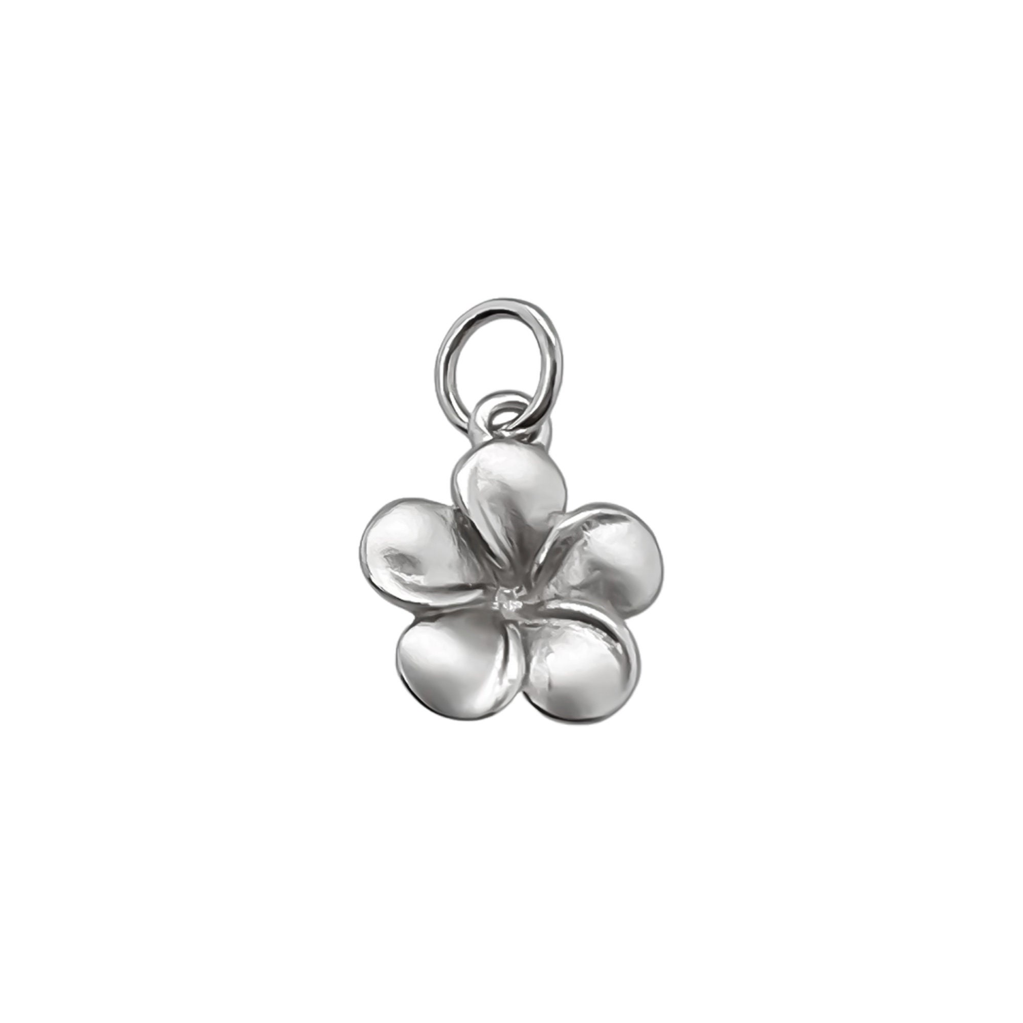 Plumeria charm hotsell