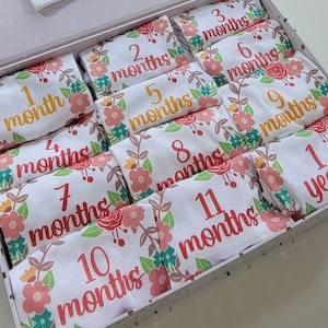 Baby Milestone Onesies, Goddaughter Gift, Baby Shower Gift Girl, Newborn Gift Basket, Baby Shower Gift Basket, Monthly Onesies