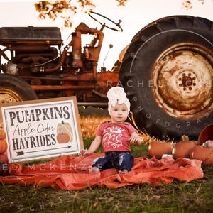 Milestone Pumpkins digital background